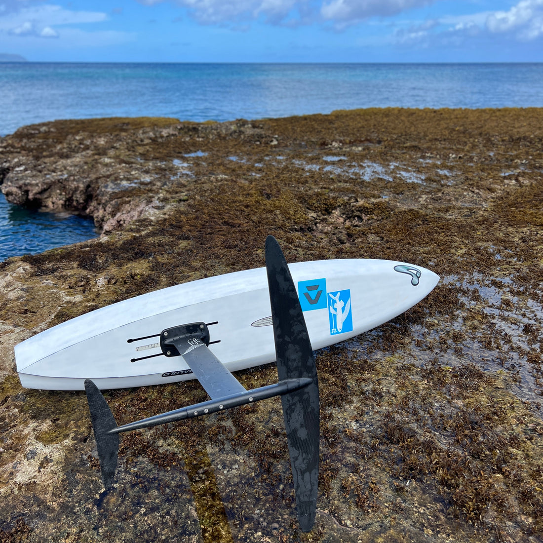Amundson Customs Malolo Race / Ride & Race Down Wind Boards - Custom Order